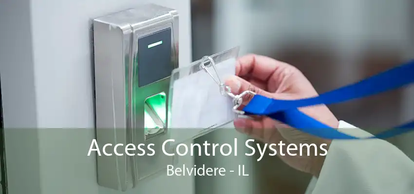 Access Control Systems Belvidere - IL