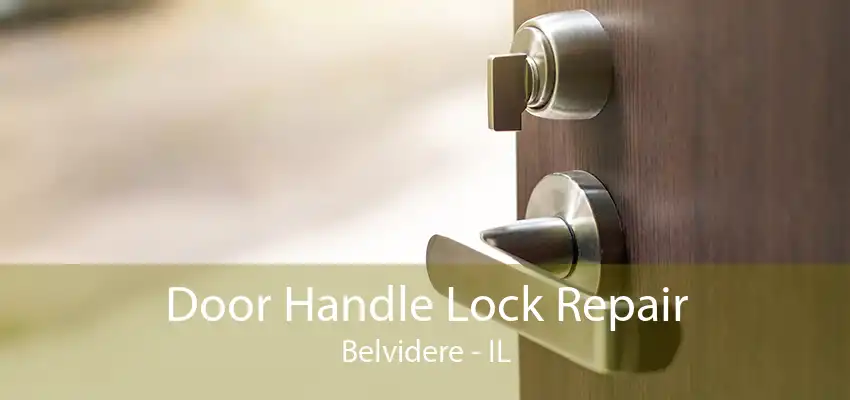 Door Handle Lock Repair Belvidere - IL