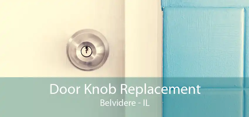 Door Knob Replacement Belvidere - IL