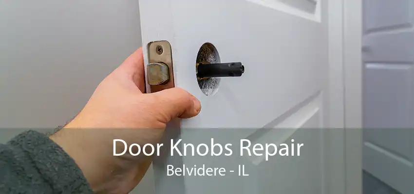 Door Knobs Repair Belvidere - IL