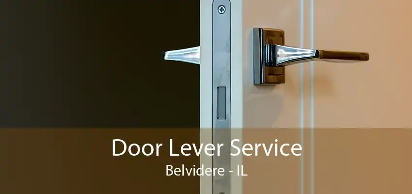 Door Lever Service Belvidere - IL