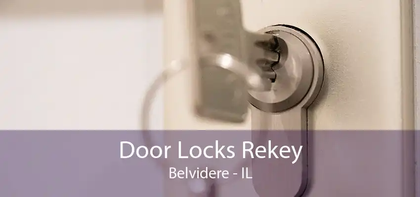 Door Locks Rekey Belvidere - IL