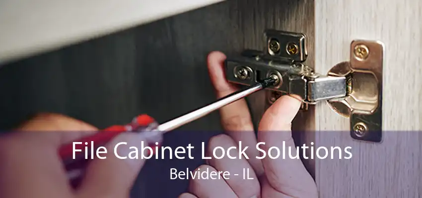 File Cabinet Lock Solutions Belvidere - IL