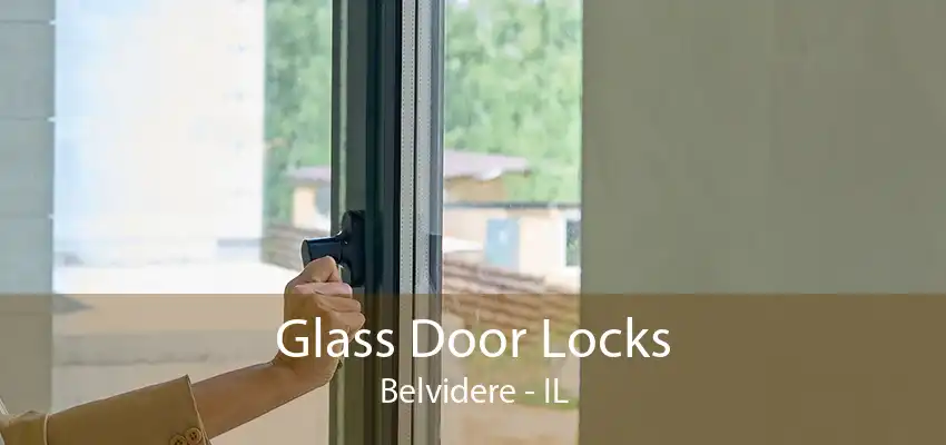 Glass Door Locks Belvidere - IL