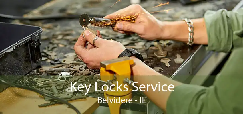 Key Locks Service Belvidere - IL