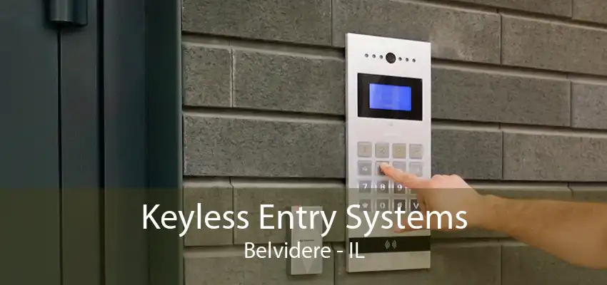 Keyless Entry Systems Belvidere - IL