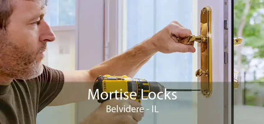 Mortise Locks Belvidere - IL