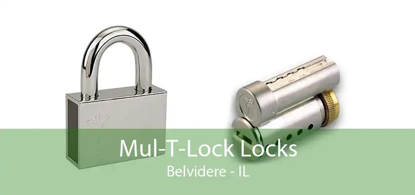 Mul-T-Lock Locks Belvidere - IL