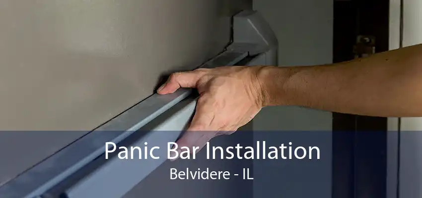 Panic Bar Installation Belvidere - IL