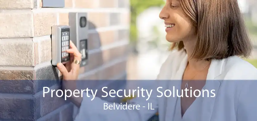 Property Security Solutions Belvidere - IL