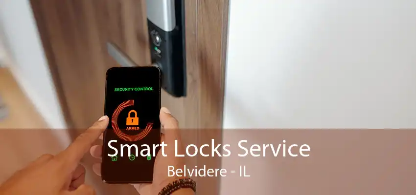 Smart Locks Service Belvidere - IL