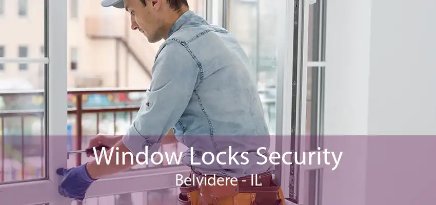 Window Locks Security Belvidere - IL